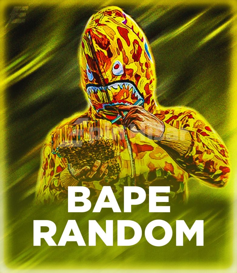 PUBGM BAPE RANDOM HESAP