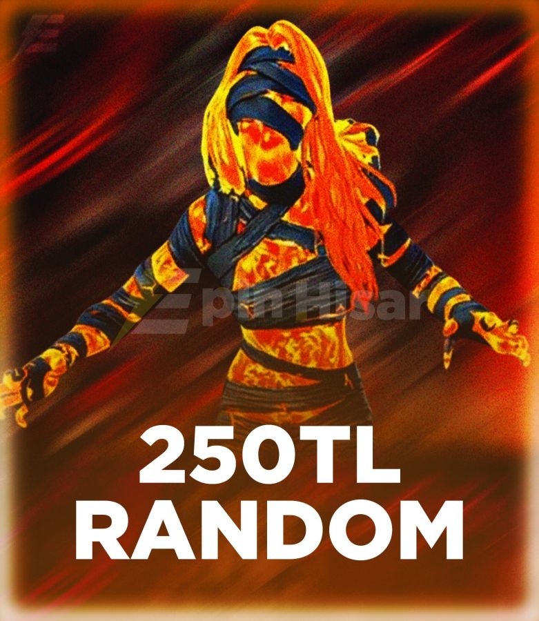 ÖZEL STOK - PUBGM 250 TL HESAP