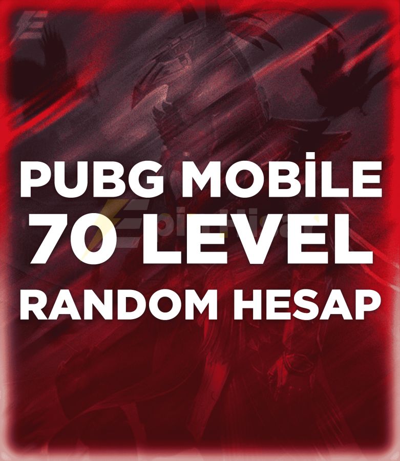 PUBGM 70+ Level Garanti Hesap
